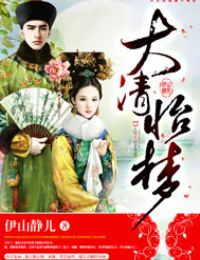 大清一梦小说免费阅读