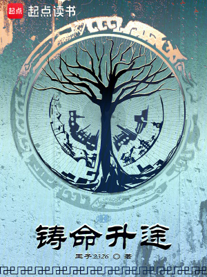 铸命升途游戏无防盗