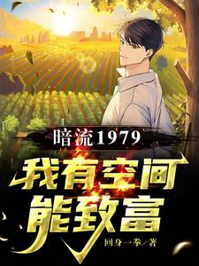暗流1979，我有空间能致富