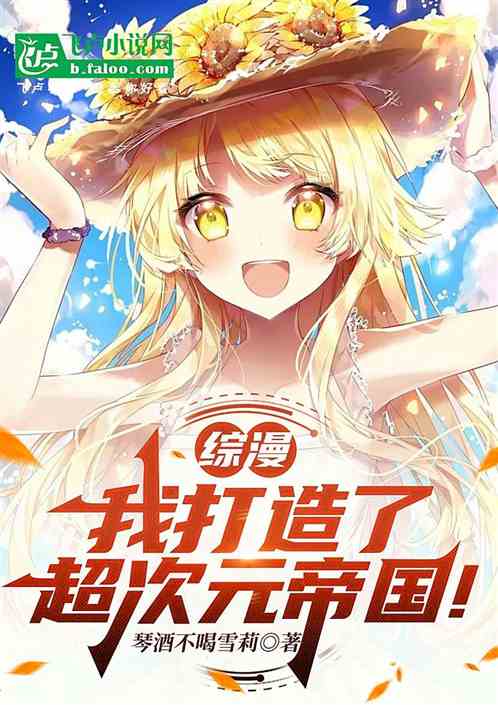 我创造了超次元游戏