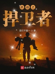 小说抗战之捍卫者